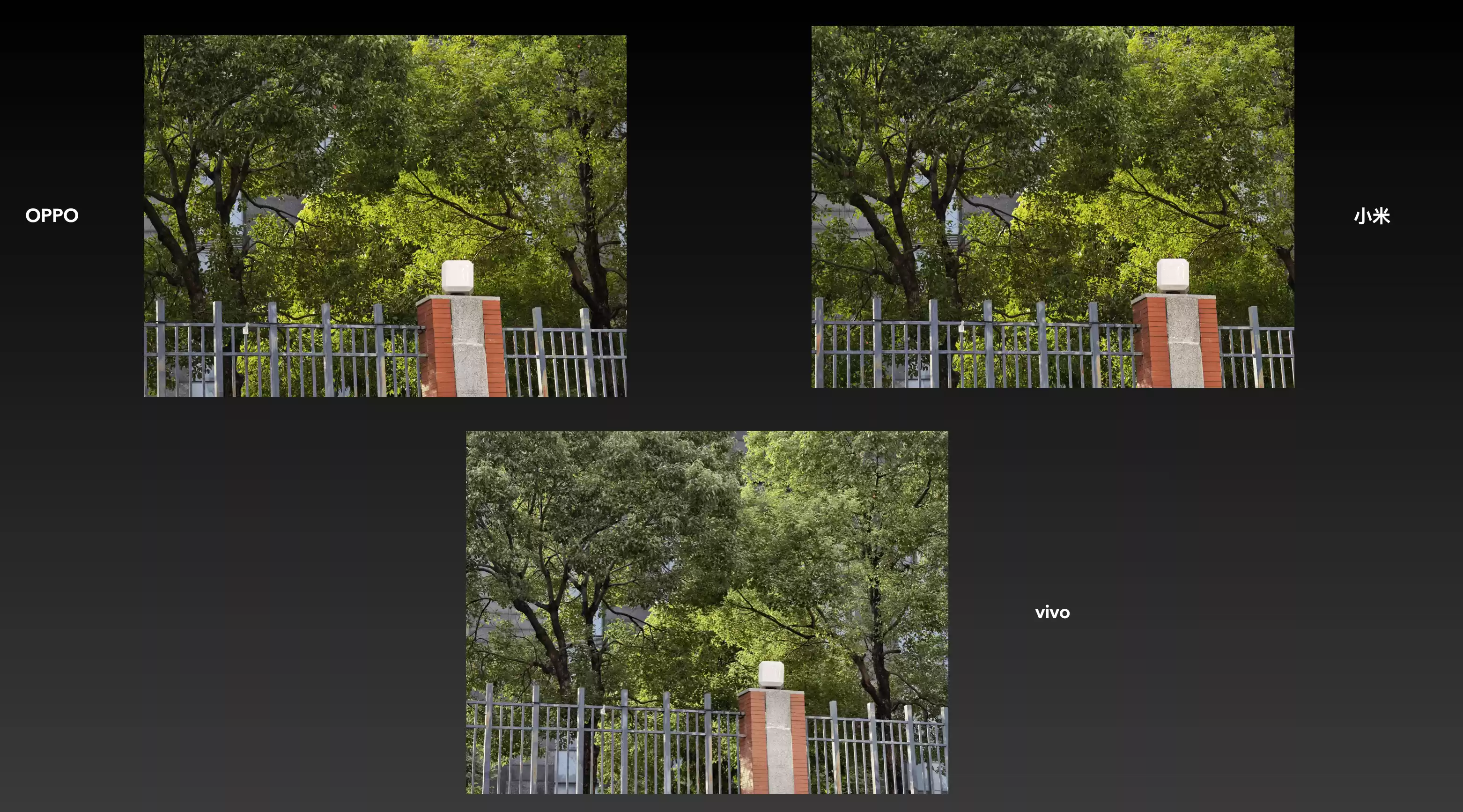 Wec h a tIMG6107.webp