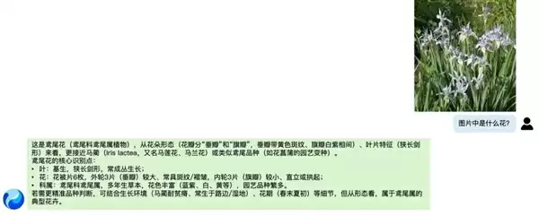 腾讯混元视觉模型跻身全球Top 3 国内排名第1