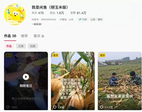 大学生国庆8天假掰了7天半玉米:自己多弯一次腰父母就少吃一点苦