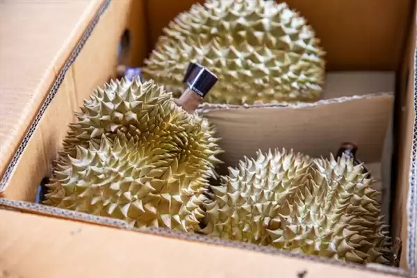 误当成燃气泄漏