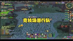 竞技场队伍