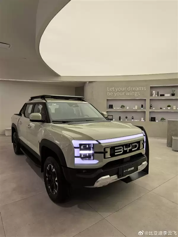 李云飞：比亚迪SHARK皮卡迟早在国内上市 已在规划中