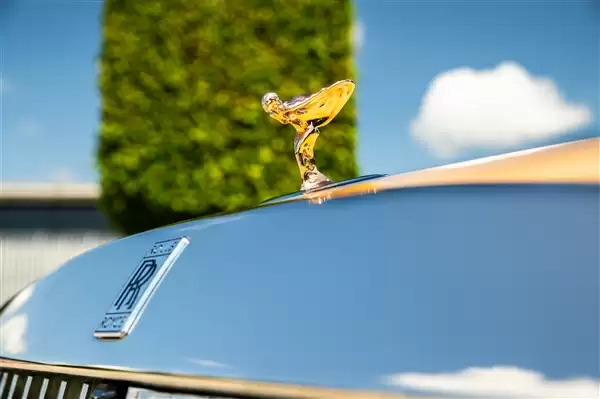 狗都有劳斯莱斯了!一客户为爱犬定制特别版闪灵:真开眼