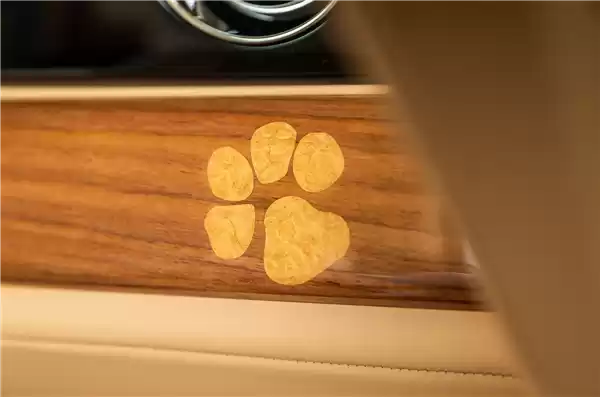 狗都有劳斯莱斯了!一客户为爱犬定制特别版闪灵:真开眼