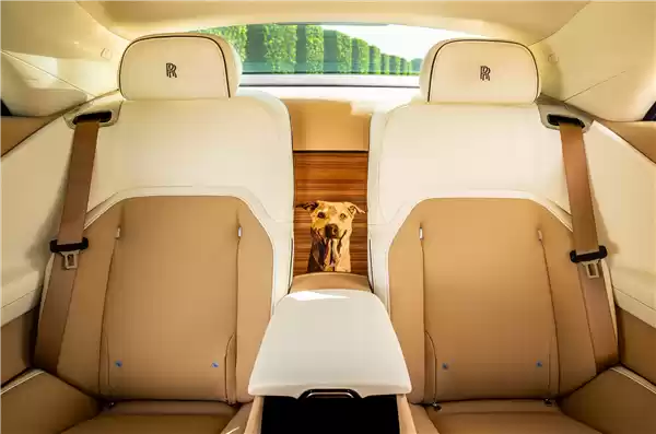 狗都有劳斯莱斯了!一客户为爱犬定制特别版闪灵:真开眼