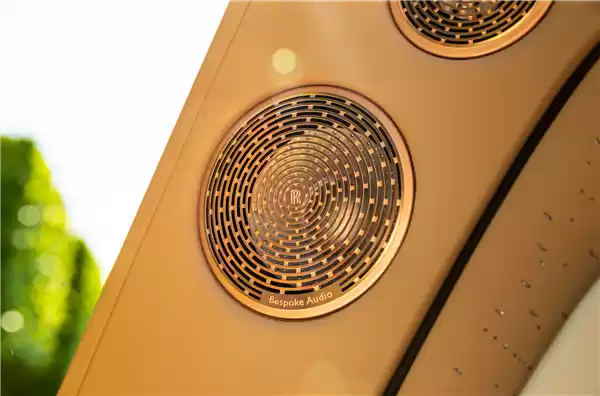 狗都有劳斯莱斯了!一客户为爱犬定制特别版闪灵:真开眼