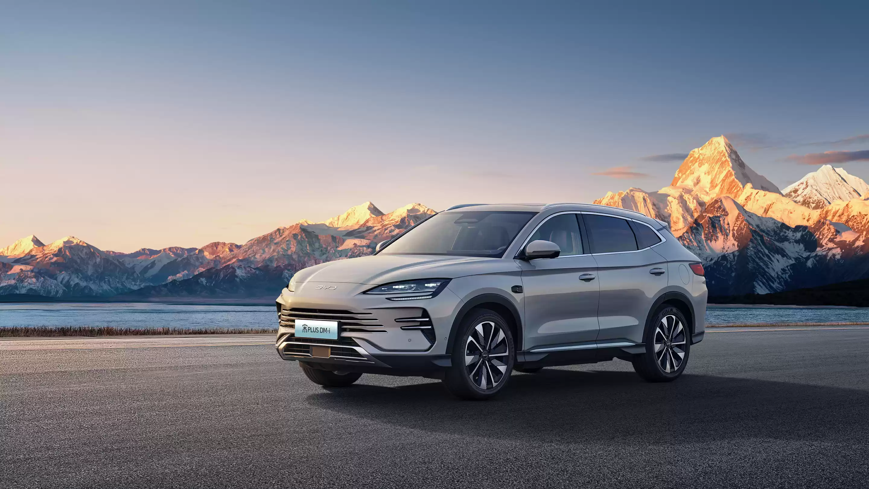 比亚迪双网战略