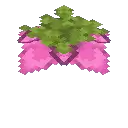 繁茂洞穴中的孢子花