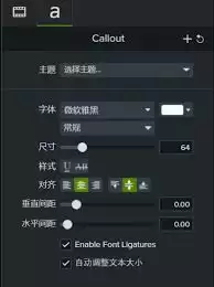 Camtasia字幕调整界面