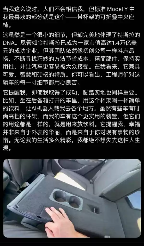 完美体现特斯拉DNA!网友从廉价版Model