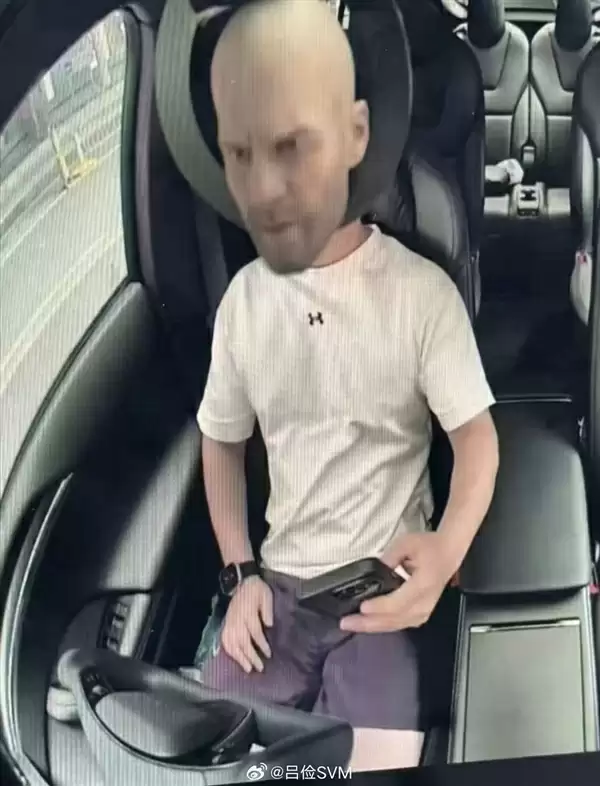 为躲避特斯拉FSD车内合规检测