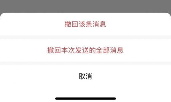 撤回操作演示