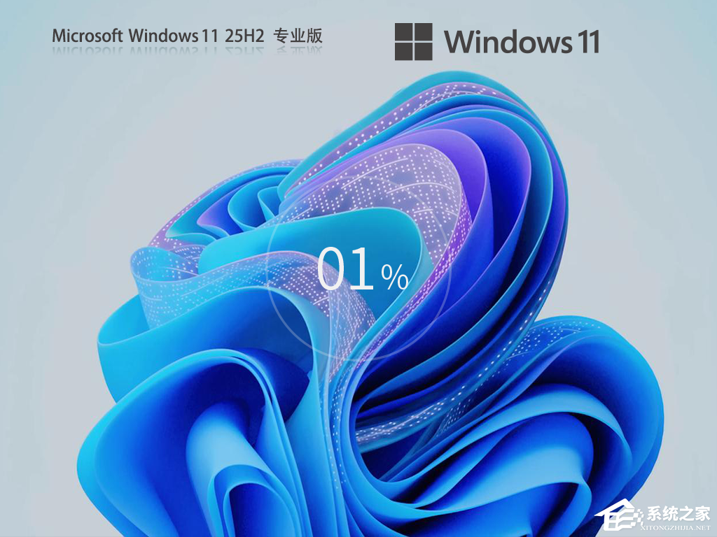 Windows 11安装界面