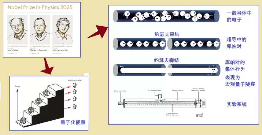 2025年诺奖研究成果