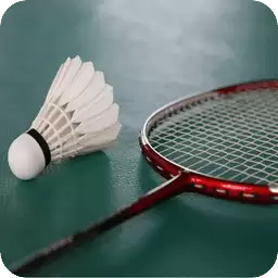 羽毛球之星游戏