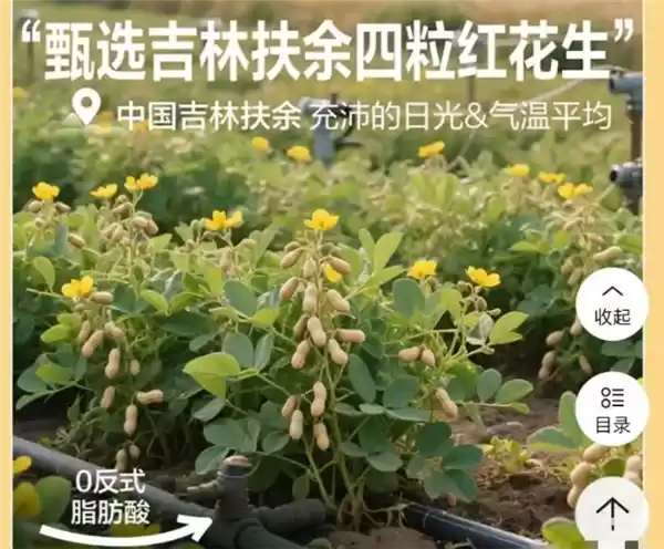 良品铺子花生产品宣传海报