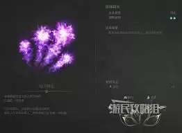 渊虚之羽修炼仪式