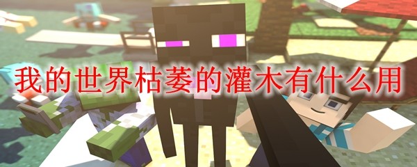 枯萎灌木示例图