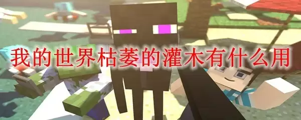 枯萎灌木示例图