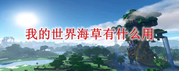 我的世界海草使用说明