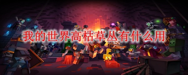 高枯草丛种植效果图