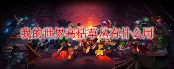 高枯草丛种植效果图