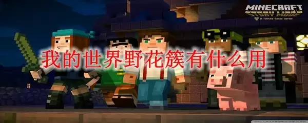 我的世界野花簇