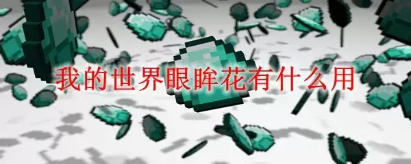 我的世界眼眸花使用效果