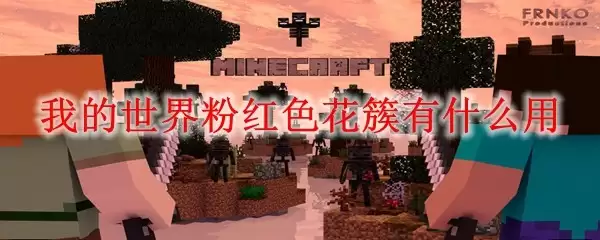 粉红色花簇展示图