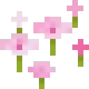 粉红色花簇生态展示
