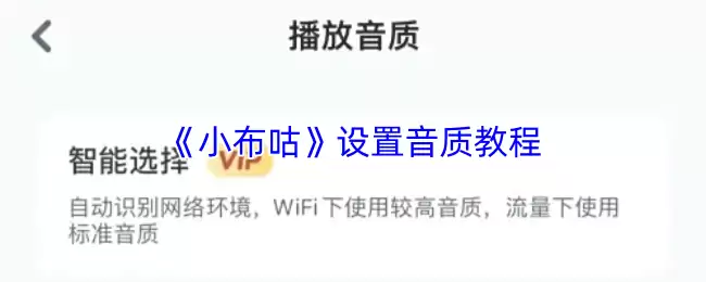 《小布咕》设置音质教程