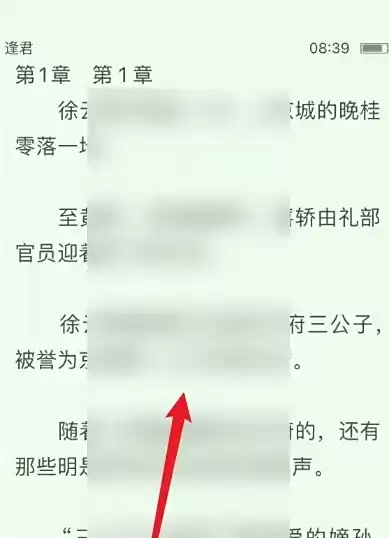 阅读设置入口示意
