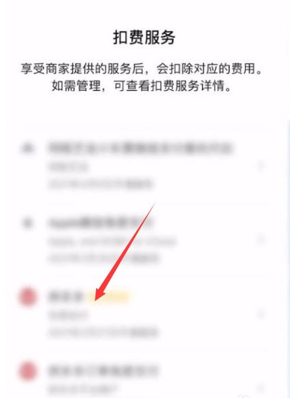 扣费服务列表