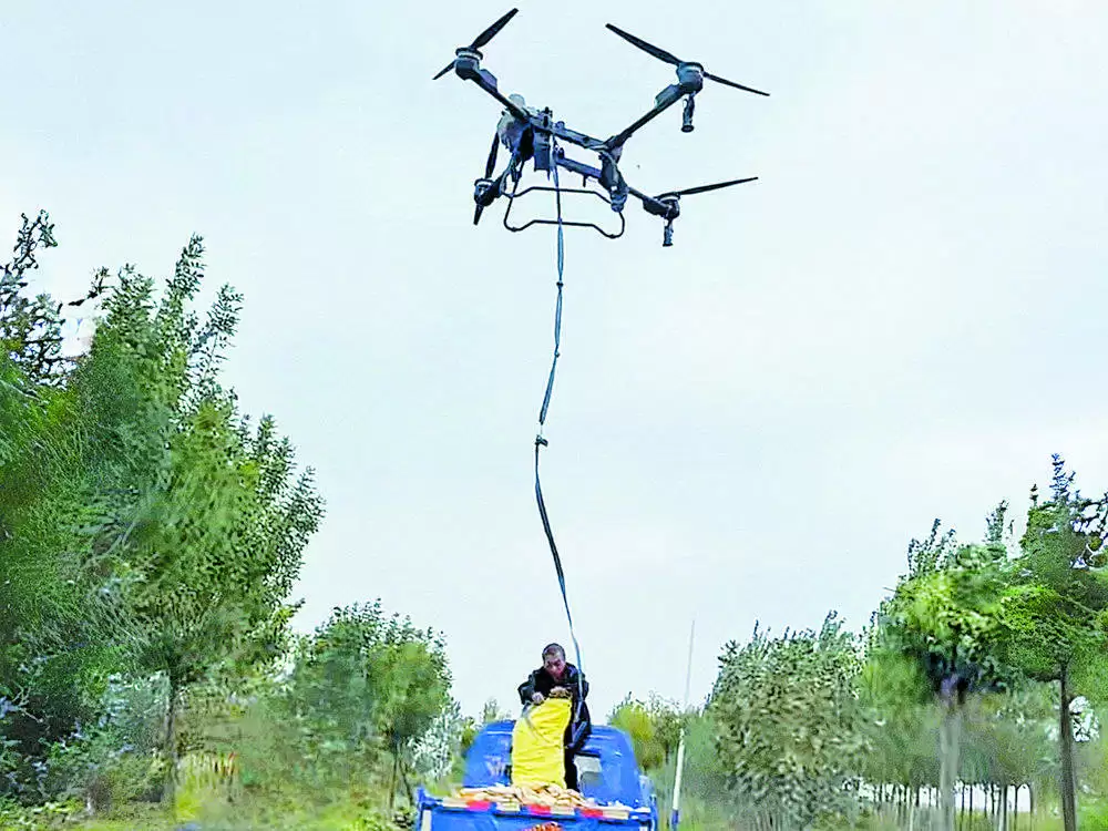 菏泽秋收抢收现场