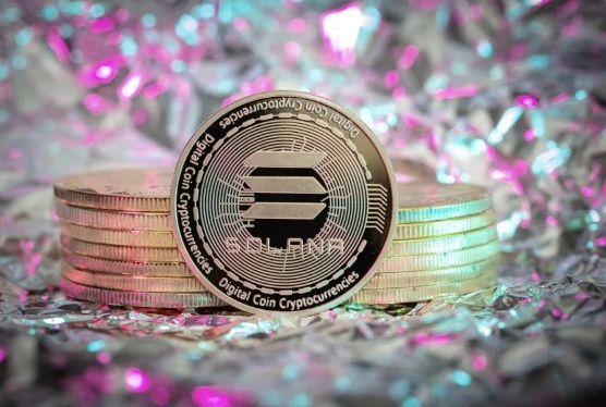 SOL合约的风险准备金余额如何查询_SOL合约风险准备金余额查询指南 - 菜鸟下载