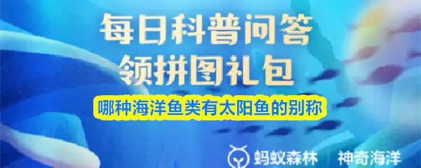 神奇海洋问答插图