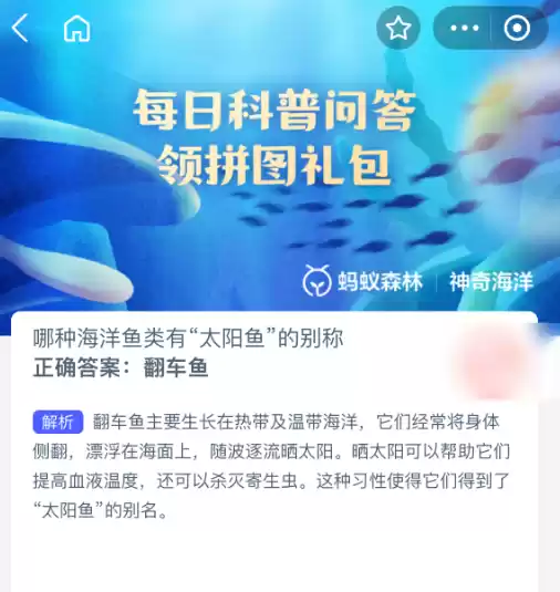 翻车鱼生活习性示意图