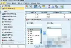 SPSS频率分析界面