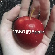 苹果总部