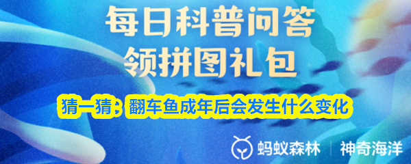 支付宝神奇海洋10月11日答案：成年翻车鱼的惊人变化