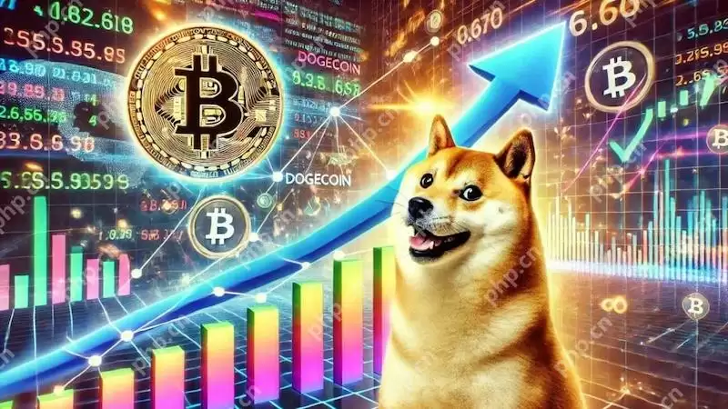 抓住下一个Meme百倍收益的秘诀是什么? - php中文网