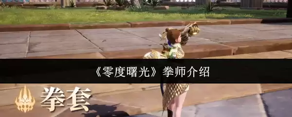 《零度曙光》拳师介绍