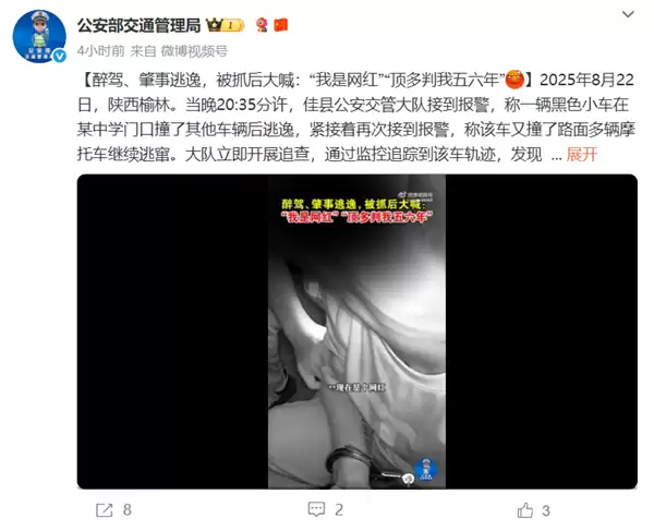 男子驾奥迪醉驾、肇事逃逸