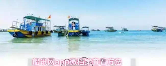 船讯网app微档案查看方法