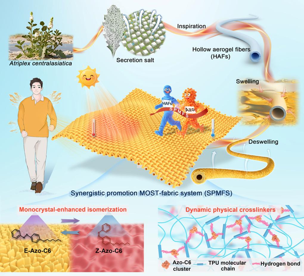 天津大学研制新型太阳能热织物