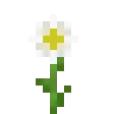 我的世界滨菊