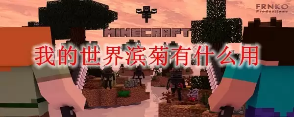 我的世界滨菊
