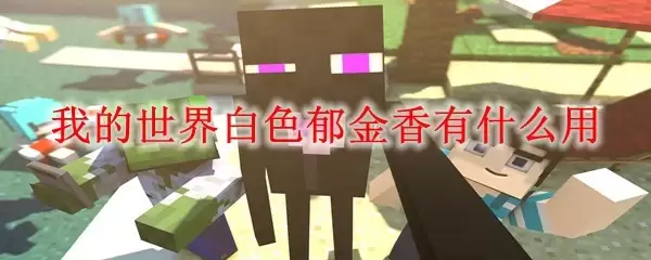我的世界白色郁金香