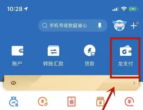 龙支付主界面