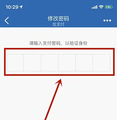 密码验证界面
